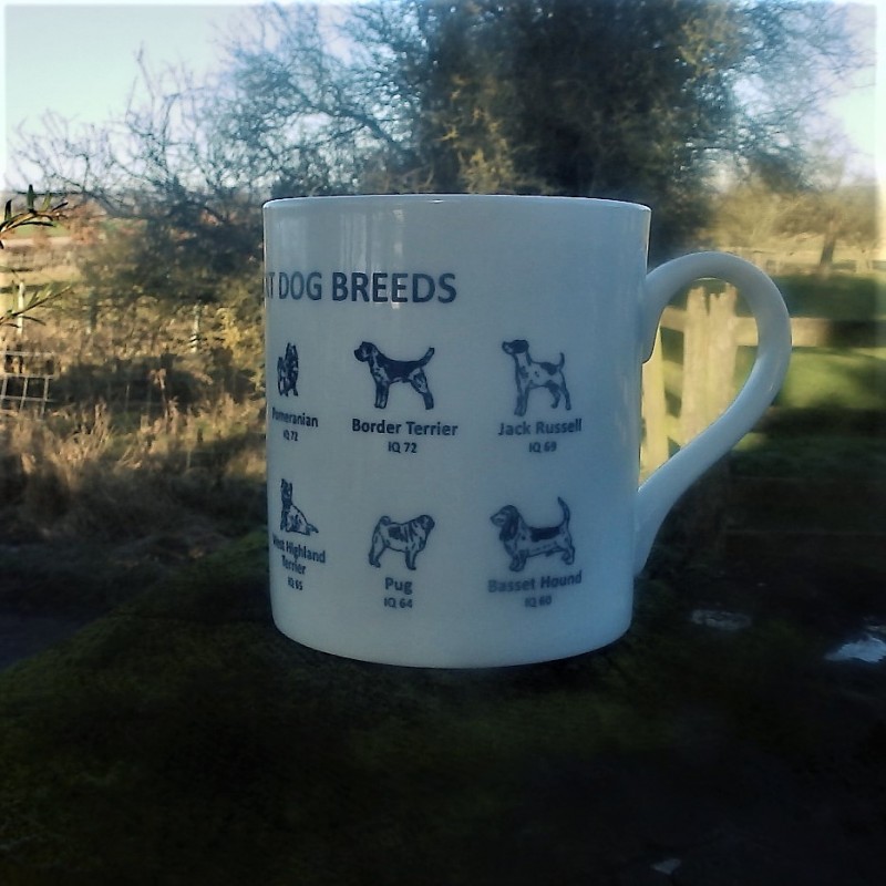 Dog IQ Mug (1) Dog IQ Mug (1)